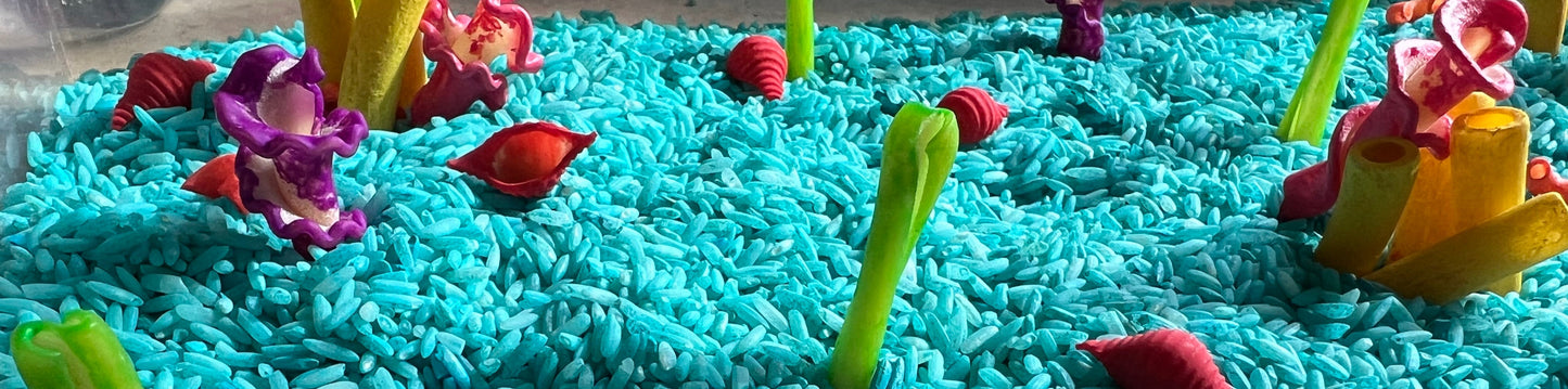Coral Reef Sensory Bin Filler