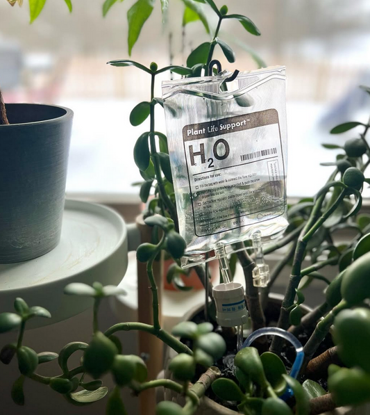 Plant Life Support